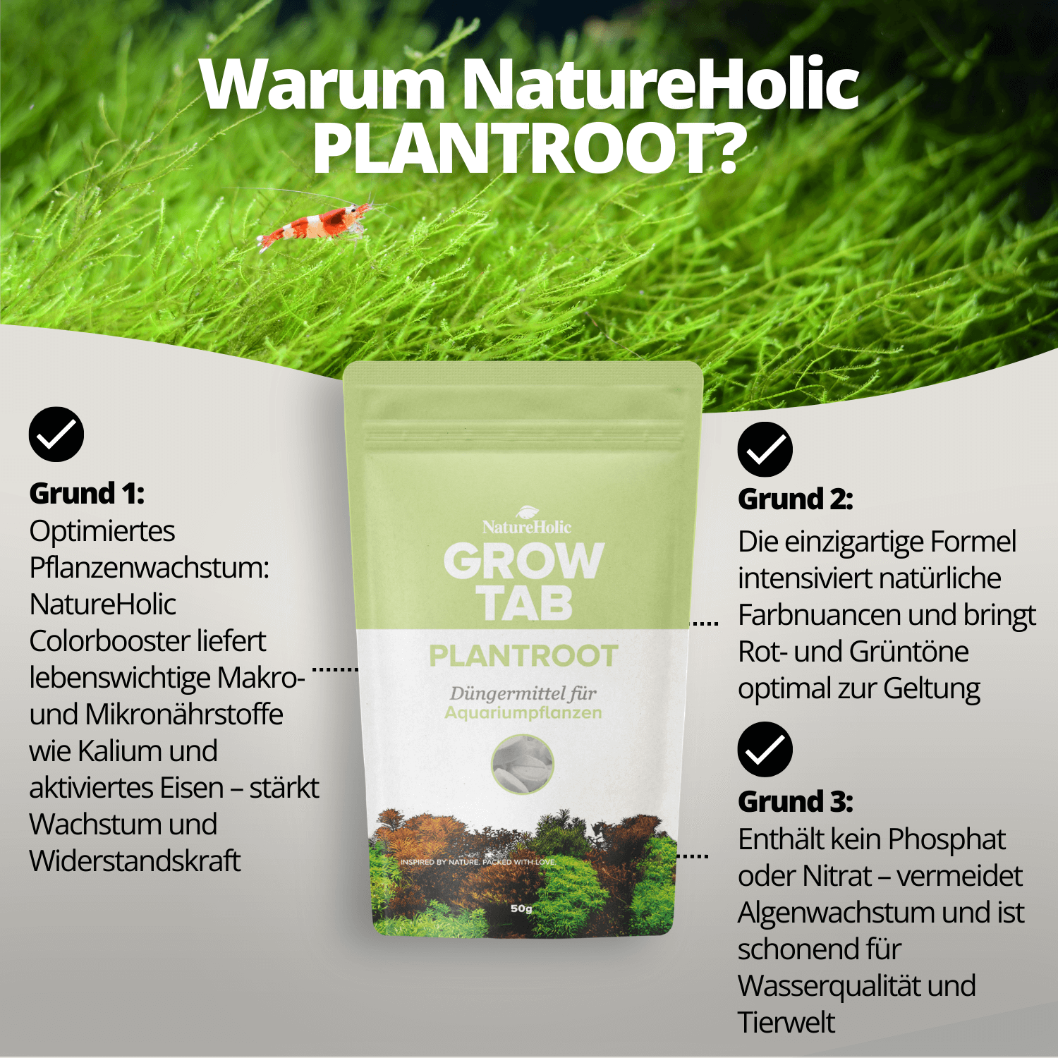 Beutel NatureHolic PLANTROOT Dünger vor Moos